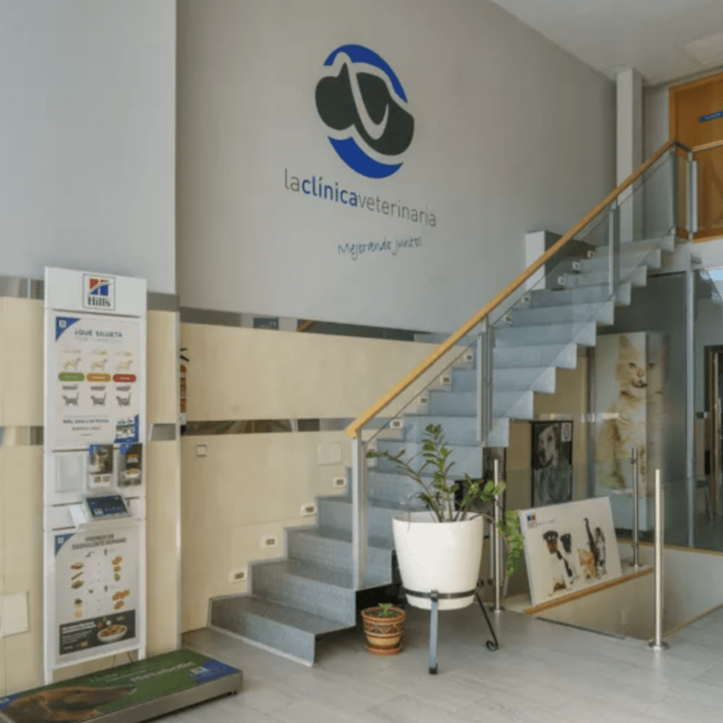 clinica veterinaria Rivas