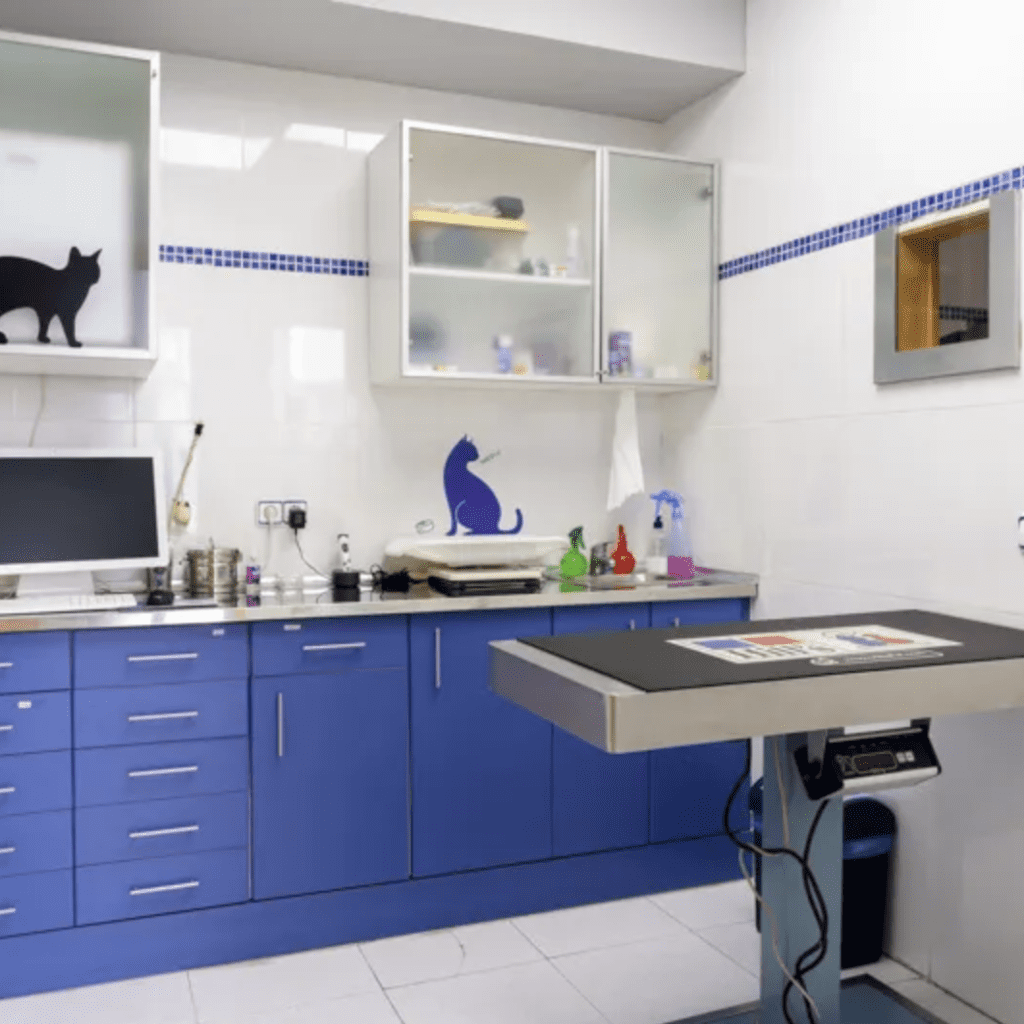 clinica veterinaria Rivas