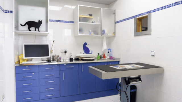 clinica veterinaria Rivas