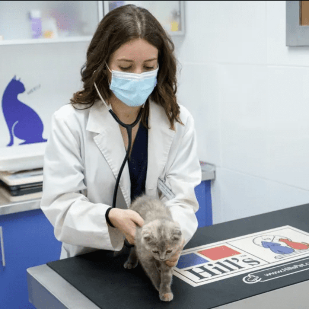 clinica veterinaria Rivas