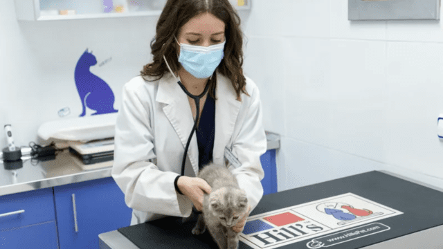 clinica veterinaria Rivas