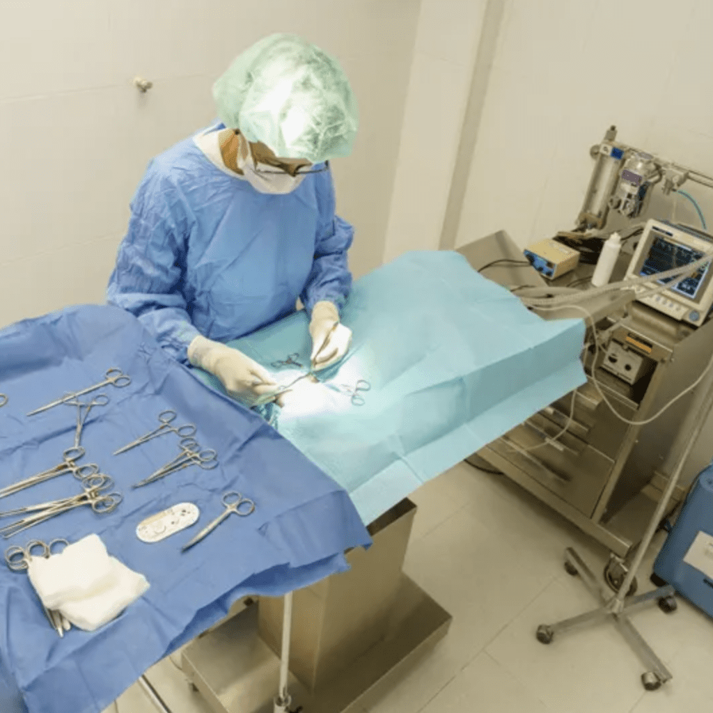 clinica veterinaria Rivas