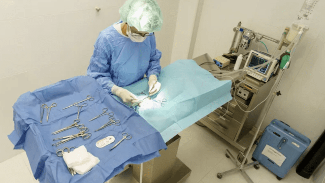 clinica veterinaria Rivas
