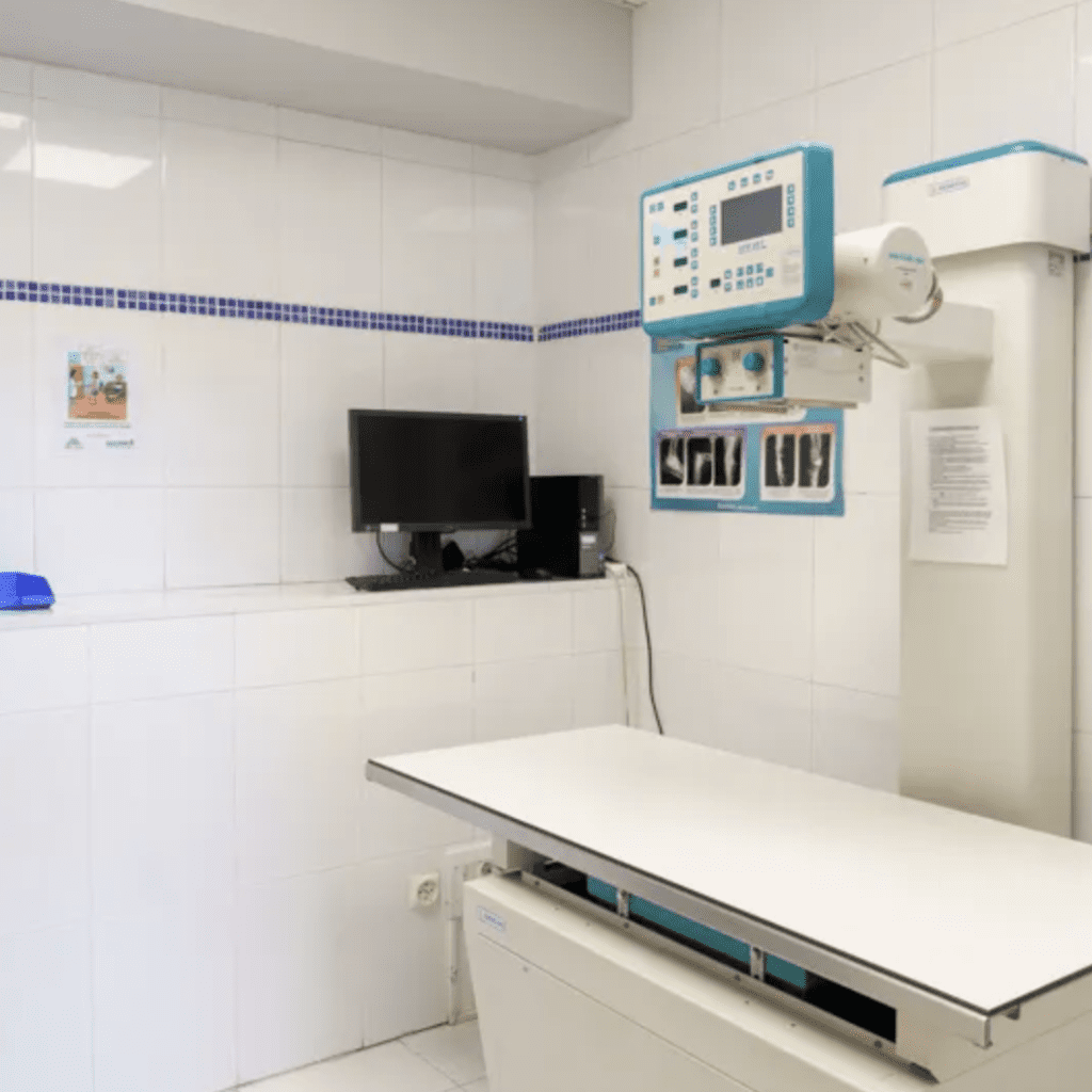 clinica veterinaria Rivas