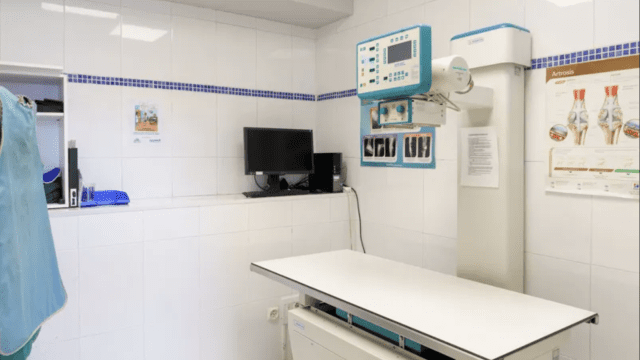clinica veterinaria Rivas