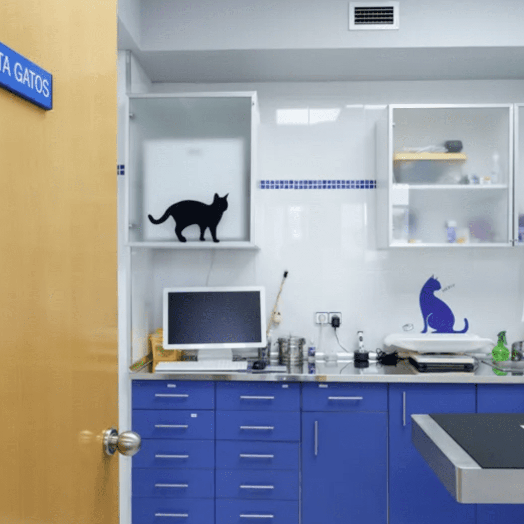 clinica veterinaria Rivas