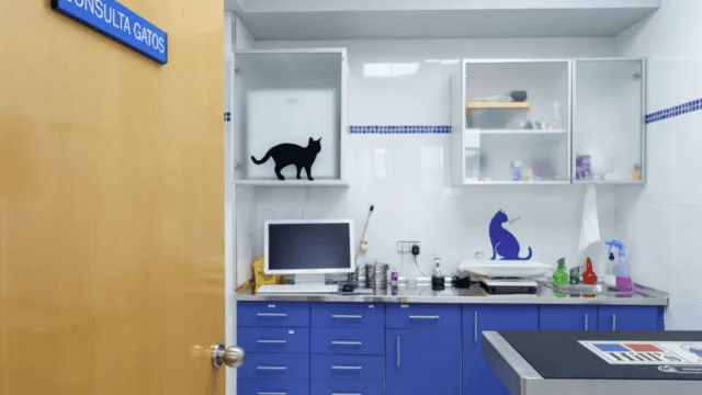clinica veterinaria Rivas
