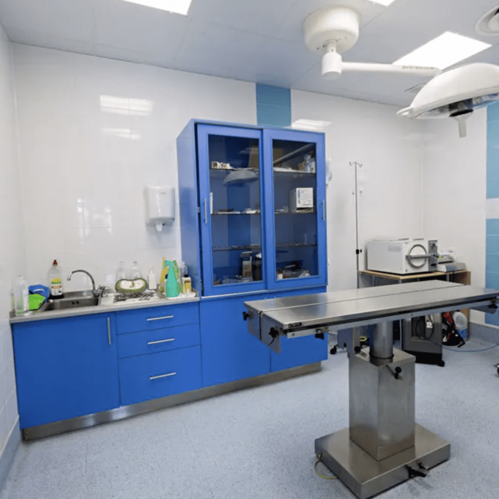 clinica veterinaria hospi-rivas