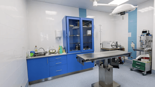 clinica veterinaria hospi-rivas
