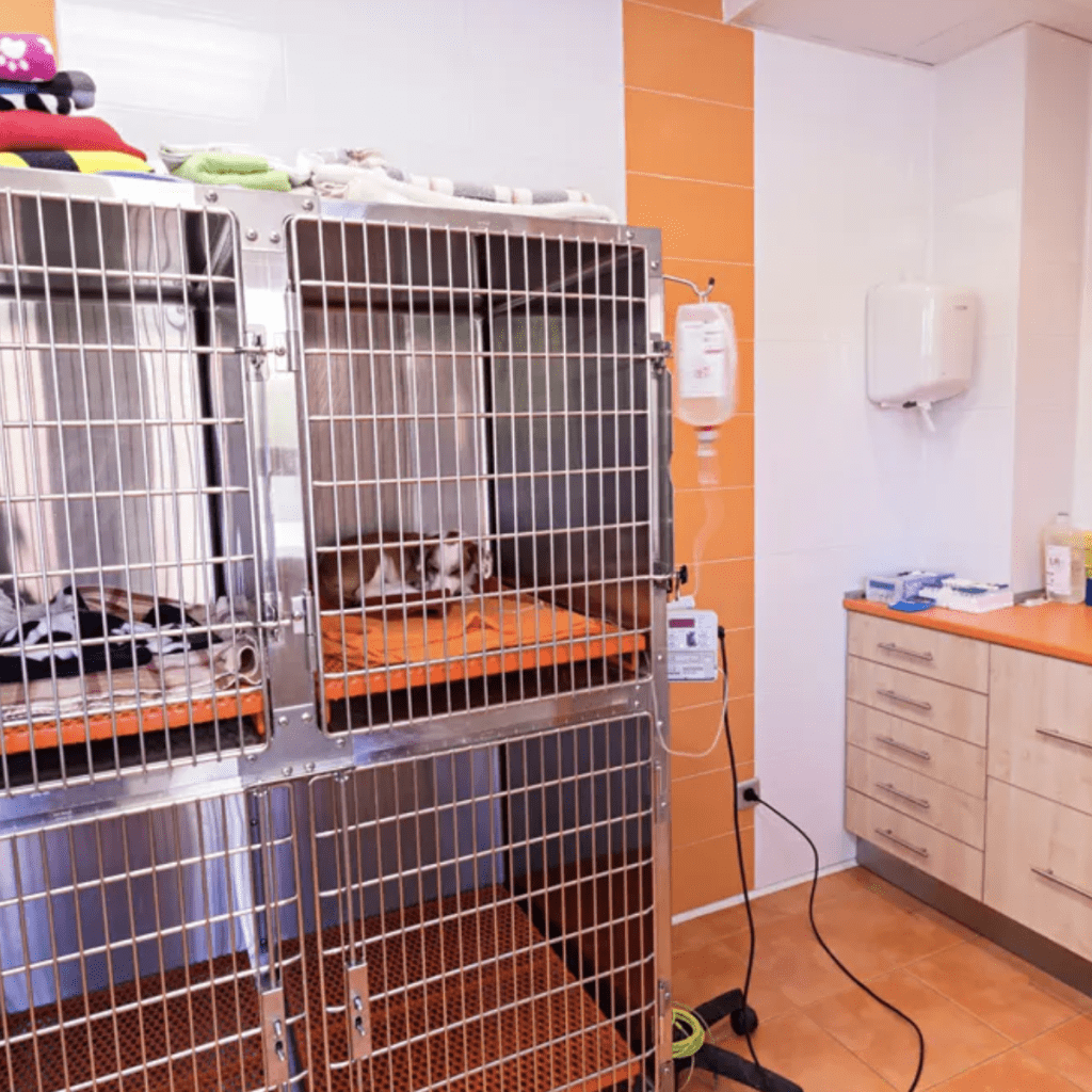 clinica veterinaria hospi-rivas