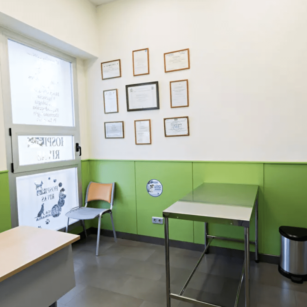 clinica veterinaria hospi-rivas