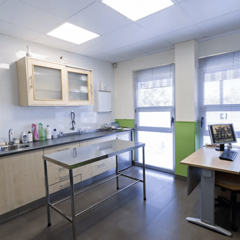 clinica veterinaria hospi-rivas