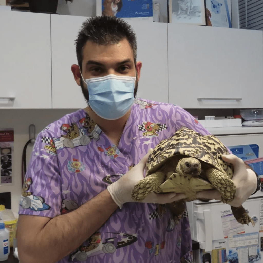 Clinica veterinaria Aldavet Rivas