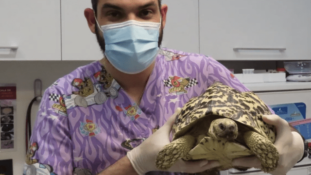 Clinica veterinaria Aldavet Rivas