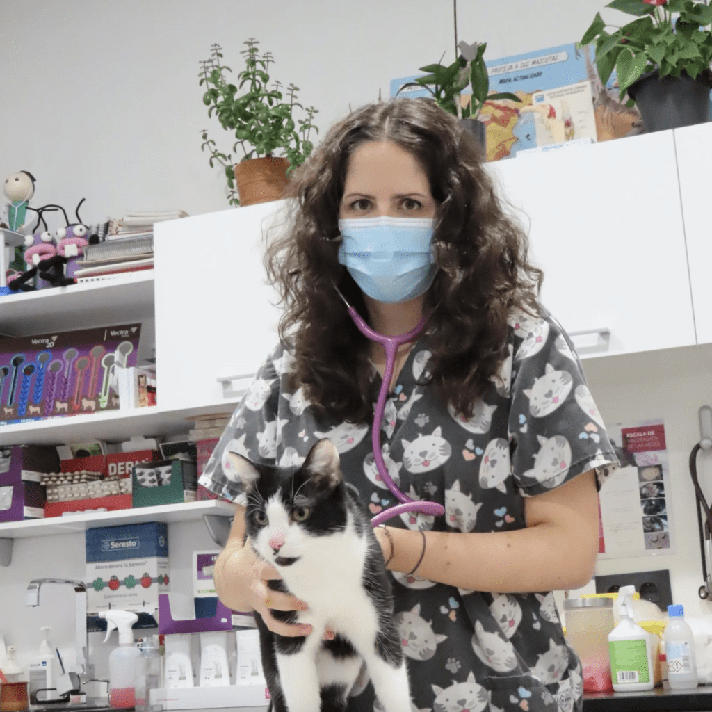 Clinica veterinaria Aldavet Rivas