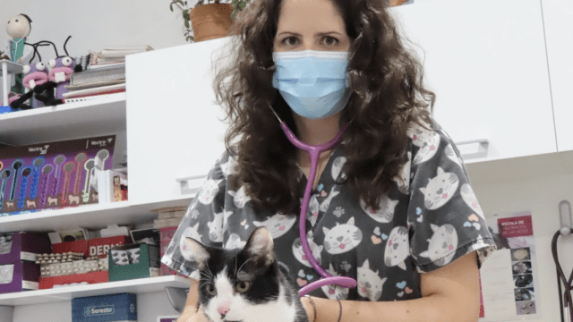 Clinica veterinaria Aldavet Rivas