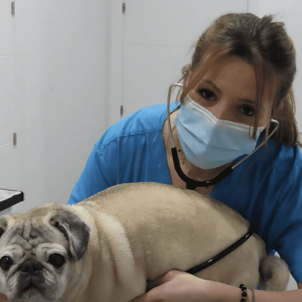 Clinica veterinaria Aldavet Rivas