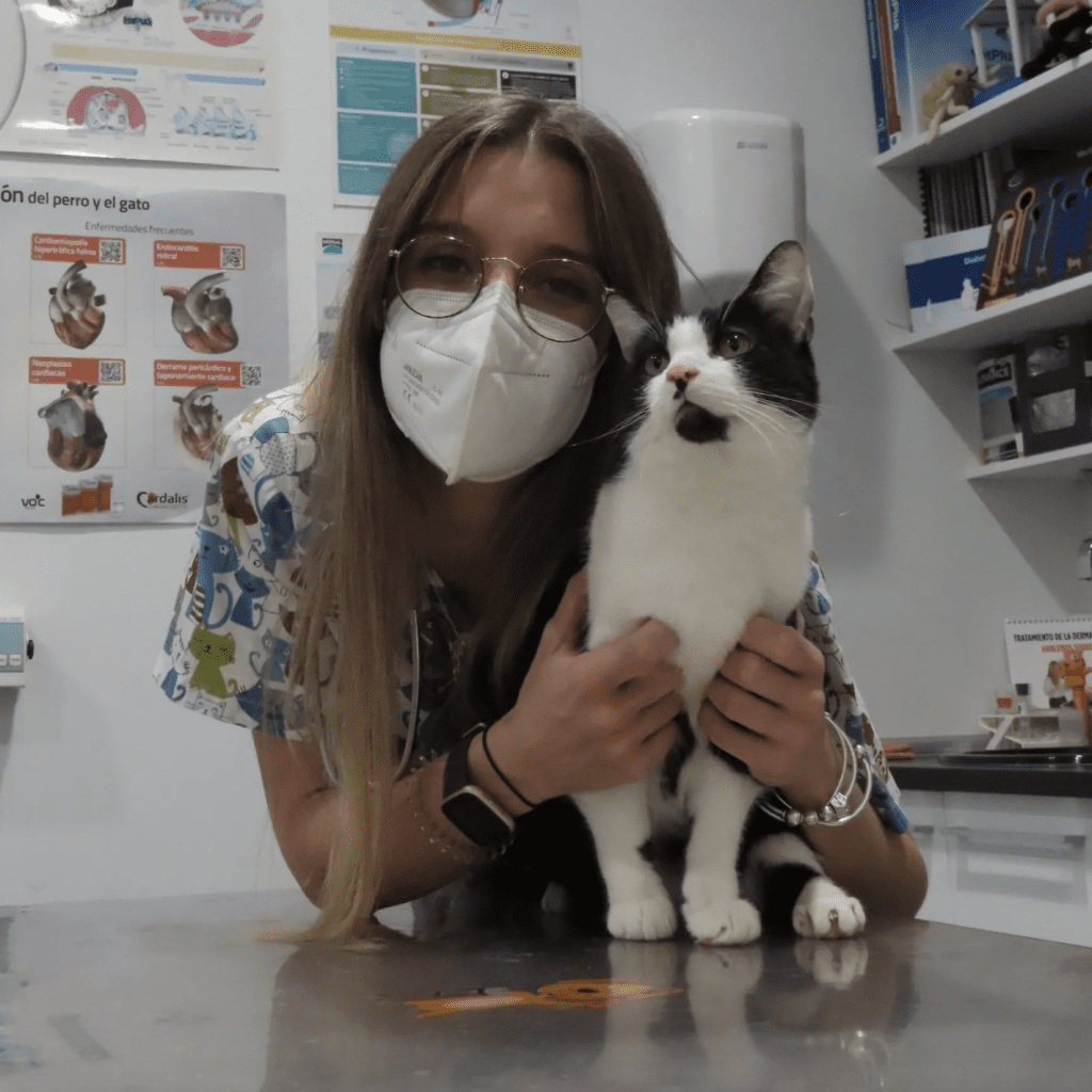 Clinica veterinaria Aldavet Rivas