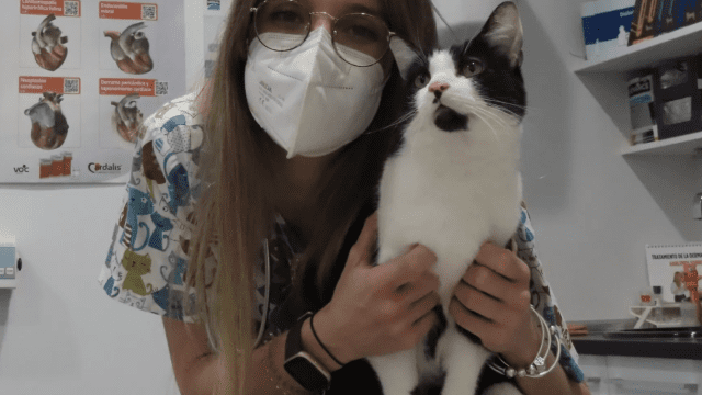 Clinica veterinaria Aldavet Rivas
