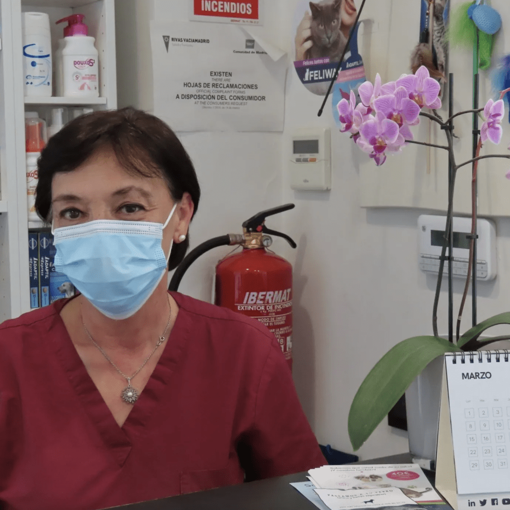 Clinica veterinaria Aldavet Rivas