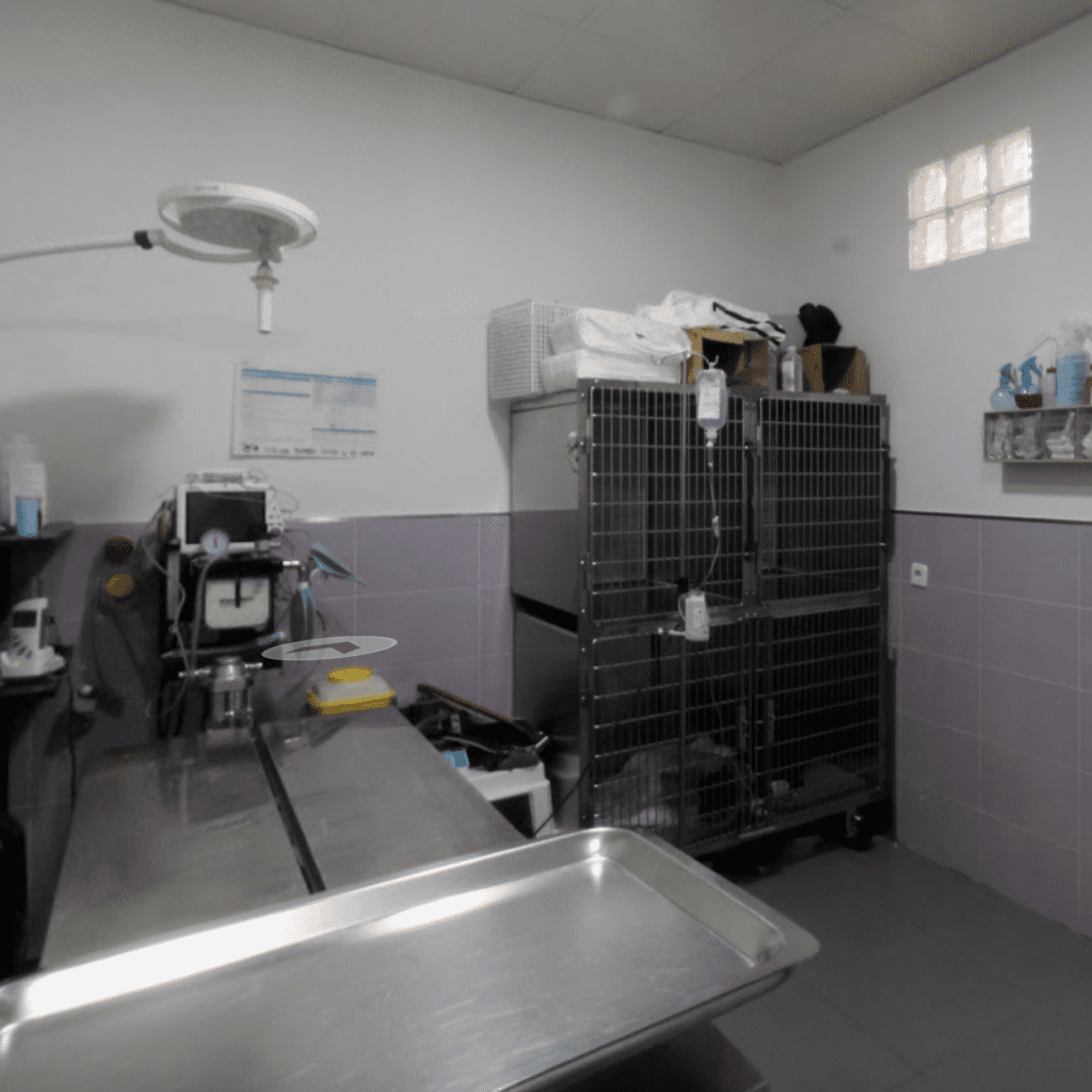 clinica veterinaria Zarpas