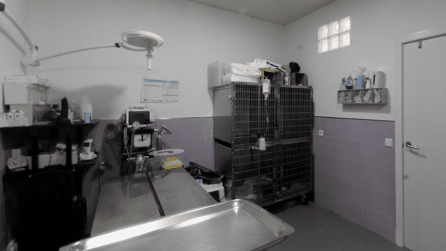 clinica veterinaria Zarpas