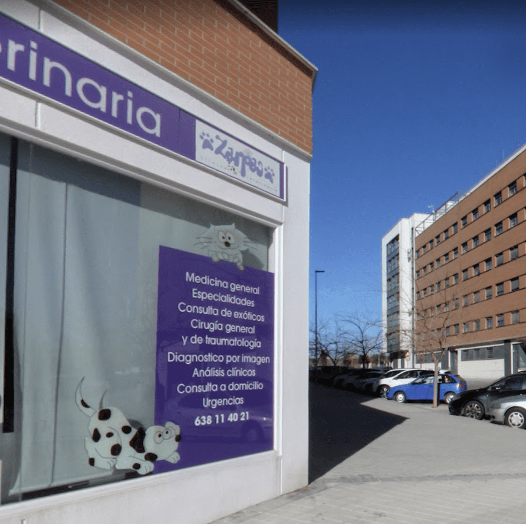 clinica veterinaria Zarpas