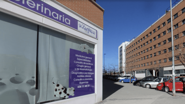 clinica veterinaria Zarpas