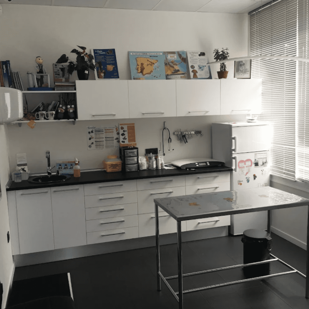 aldavet clinica veterinaria