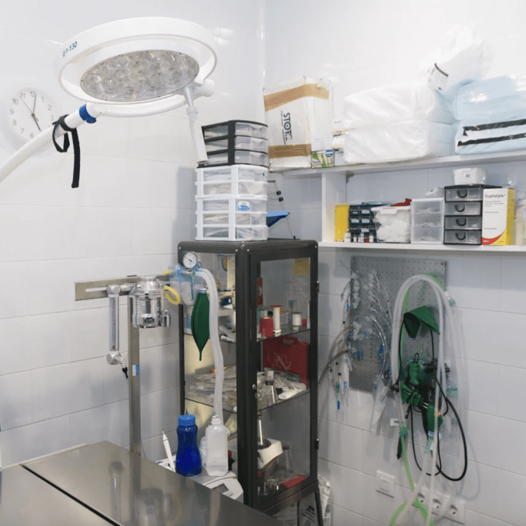 aldavet clinica veterinaria