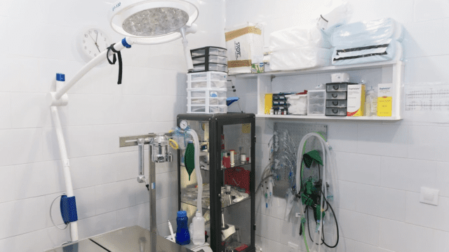 aldavet clinica veterinaria