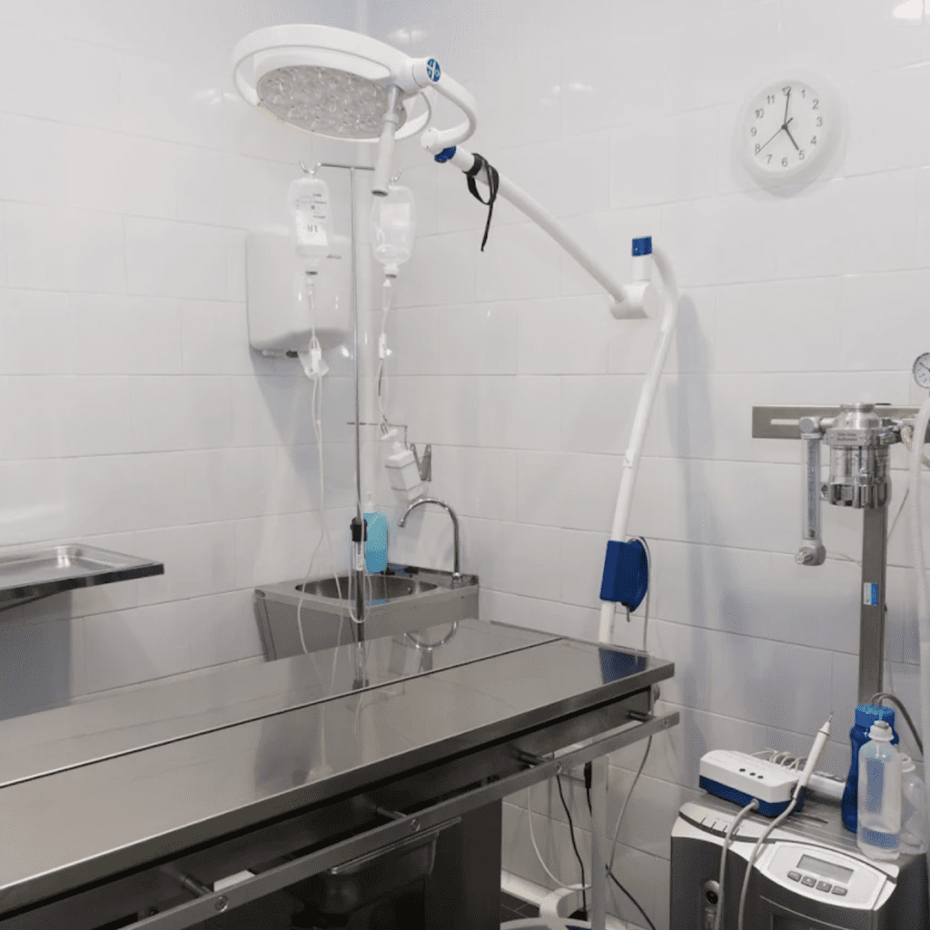 aldavet clinica veterinaria
