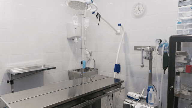 aldavet clinica veterinaria
