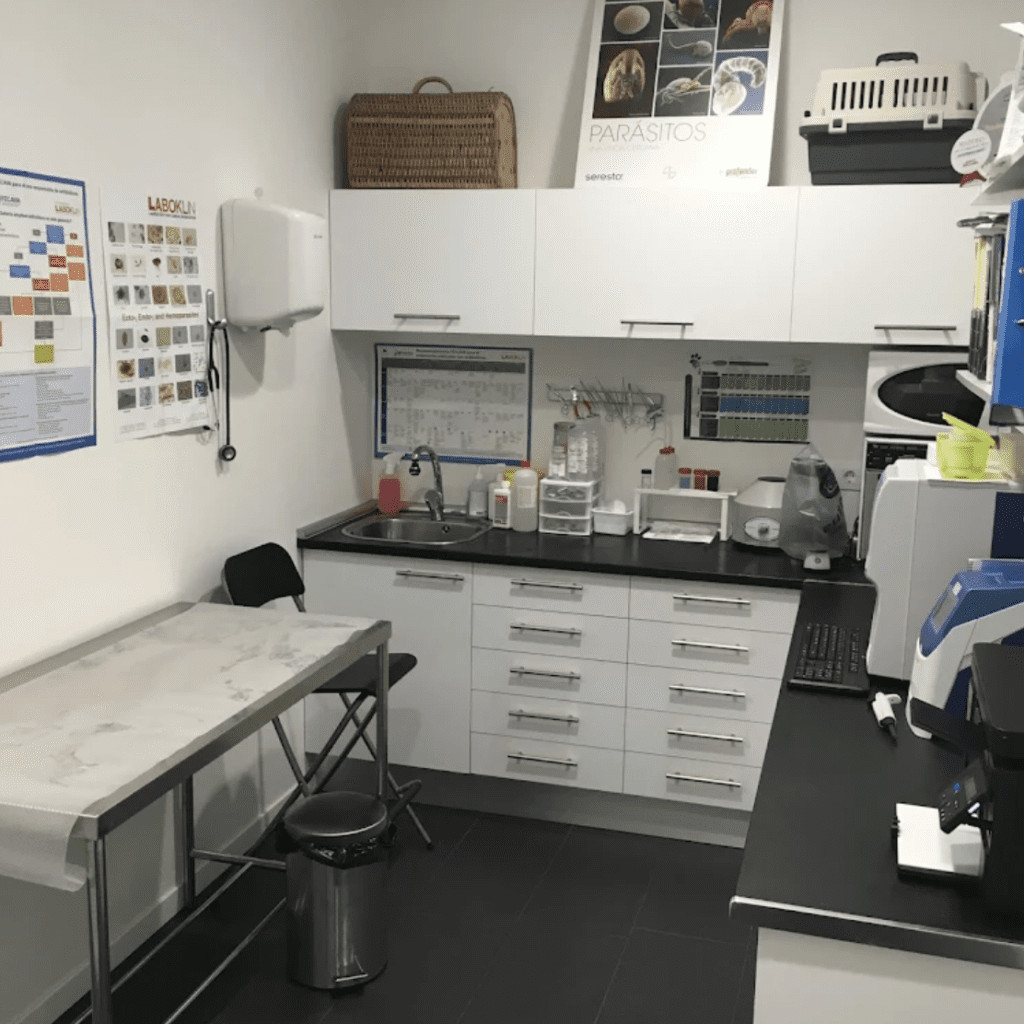 aldavet clinica veterinaria