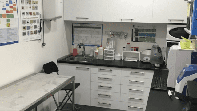 aldavet clinica veterinaria