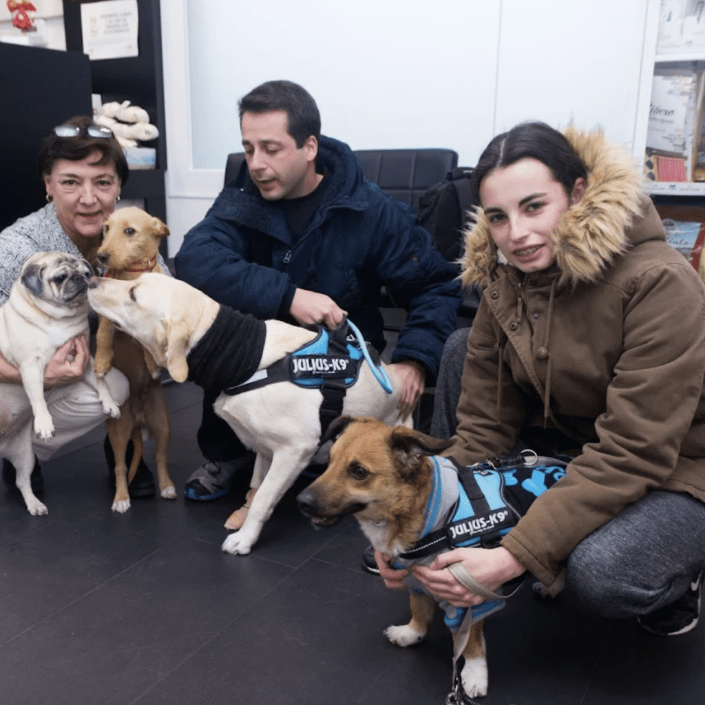 aldavet clinica veterinaria