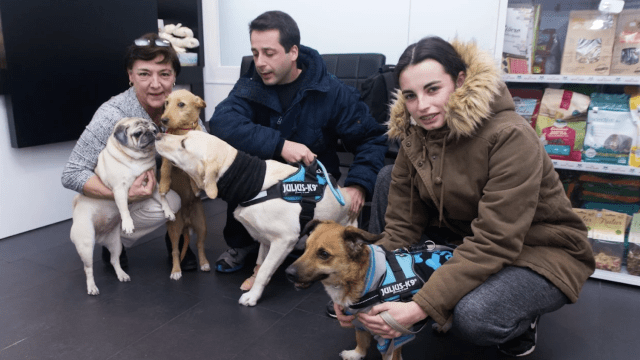 aldavet clinica veterinaria