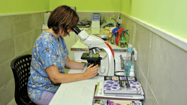 Sanimalia centro veterinario en Rivas