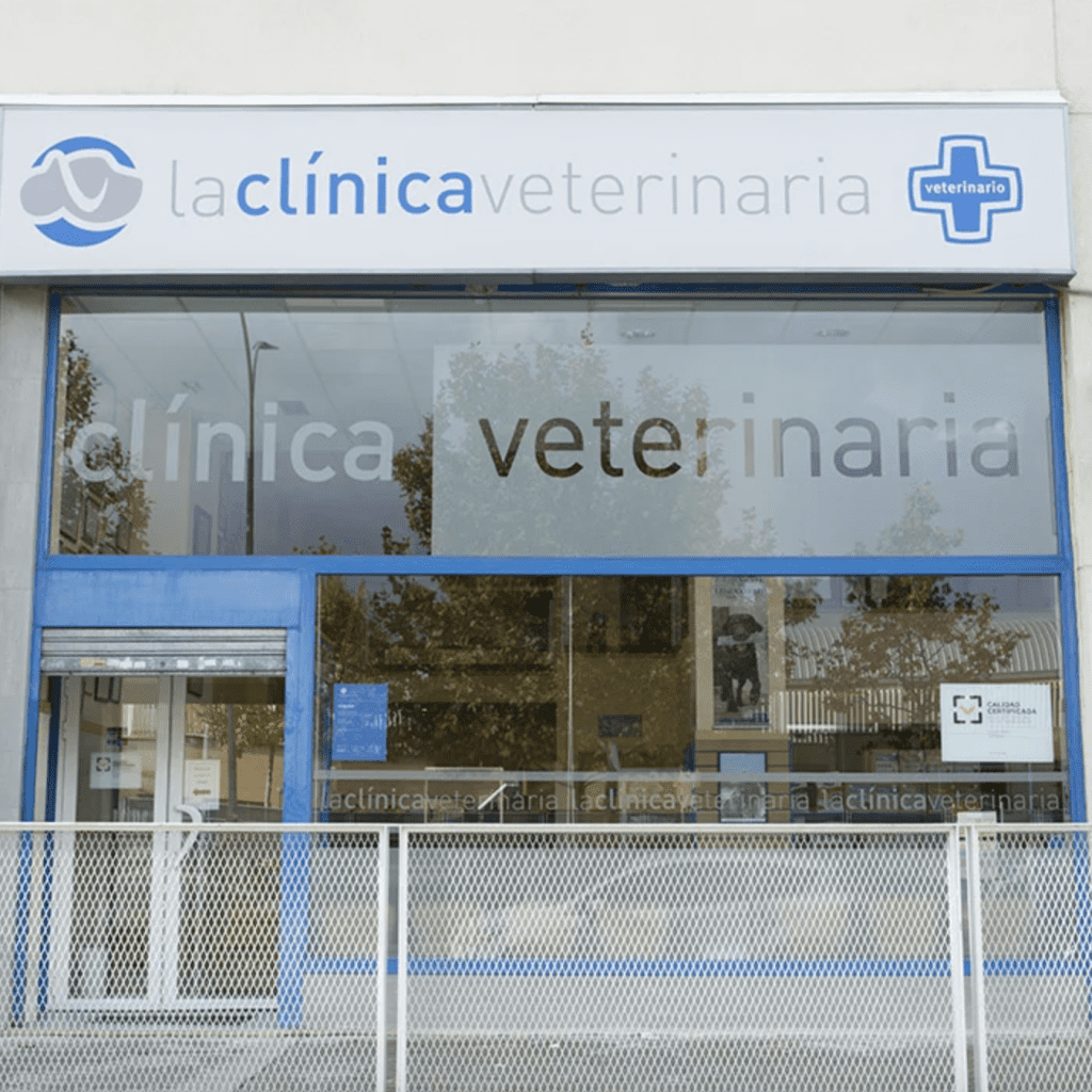 la clinica veterinaria – Rivas