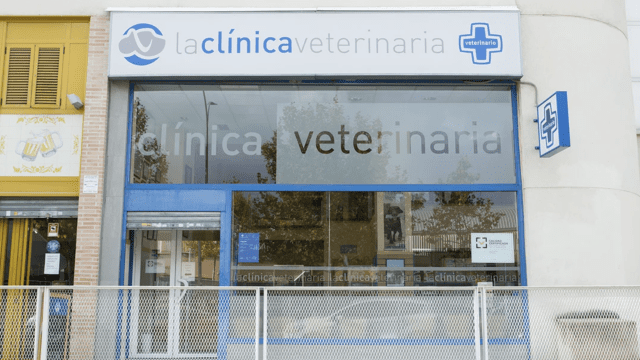 la clinica veterinaria – Rivas